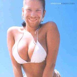 Aphex Twin WINDOWLICKER Vinyl