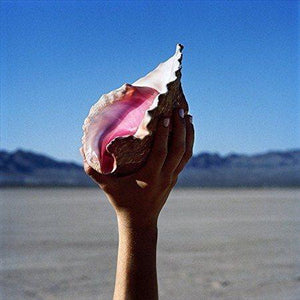 The Killers WONDERFUL WONDER(LP) Vinyl