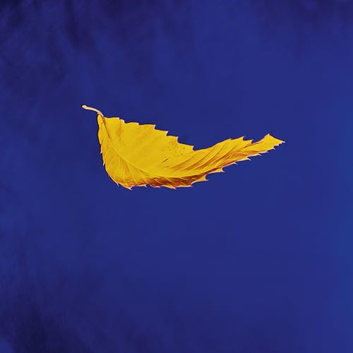 New Order True Faith (2023 Remaster) Vinyl