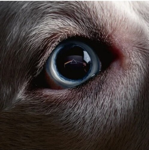 Roger Waters The Dark Side Of The Moon Redux (140 Gram Vinyl) (2 Lp's) Vinyl