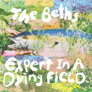 The Beths Expert In A Dying Field CD