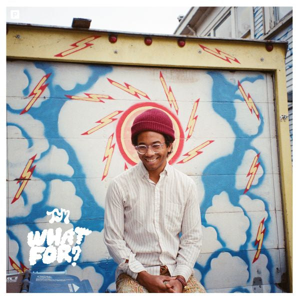 Toro Y Moi What For? Vinyl