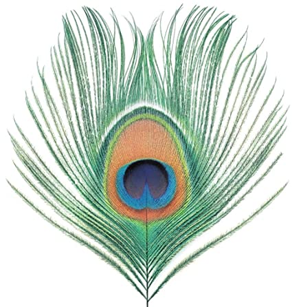 Xtc Apple Venus Vol. 1 (200 Gram Vinyl) [Import] Vinyl