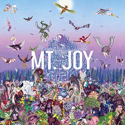 Mt. Joy Rearrange Us Vinyl