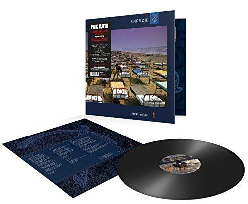 Pink Floyd Pink Floyd - Momentary Lapse Of Reason (2011 Remastered) LP Vinyl