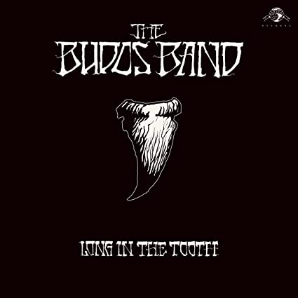 The Budos Band Long In The Tooth (Digital Download Card) Vinyl