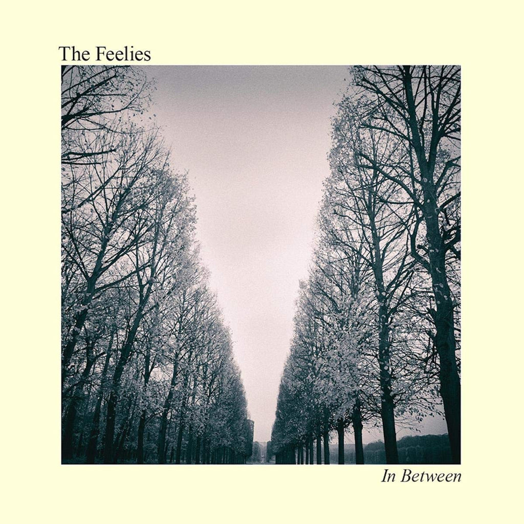 Feelies IN BETWEEN Vinyl