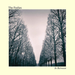 Feelies IN BETWEEN Vinyl